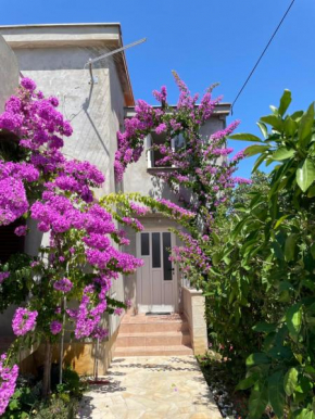Apartments Flowers